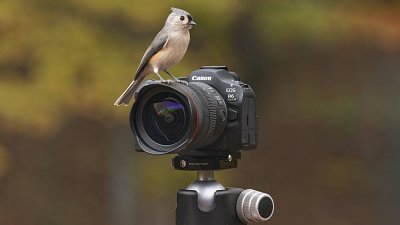 Canon R6 III 改寫中階機定義？拍片功能直逼 Cinema EOS，支援 7K Open Gate！