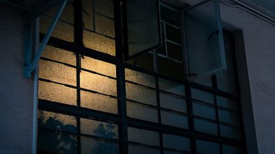 【攝光寫影 專欄】萬物有情，末本重置