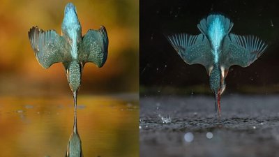 6 年拍一張變 6 分鐘！攝影師揭 Nikon 旗艦機十年大躍進