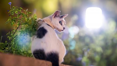 每月大獎「賞」十月份得獎作品公佈！