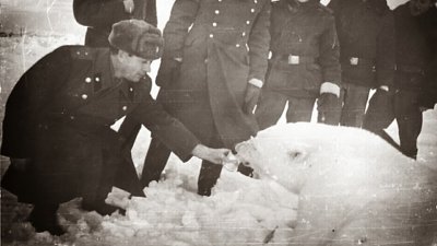 「戰鬥民族」的極地日常？揭開 70 年前蘇聯士兵餵食北極熊的瘋狂影像