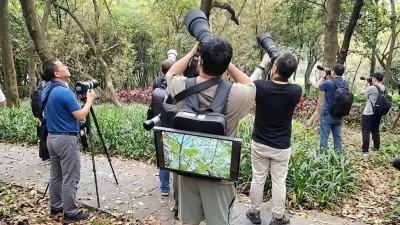 為了專心鳥攝可以去到幾盡！背著超大屏幕只為免被騷擾