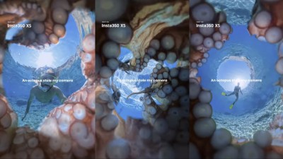 八爪魚偷走 Insta360 X5：觸手變成天然相框，仲意外拍出靚畫面