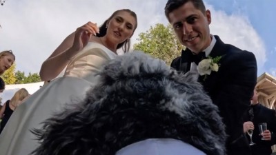 狗狗孭 GoPro 穿梭婚禮現場，以有趣視角拍下新人錯過的溫馨畫面