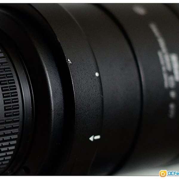 Nikon AFS 300mm F4 (384)