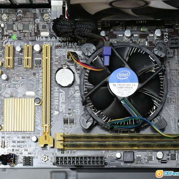 G3220 + ASUS H81M + DDR3 1333 2GB X 2