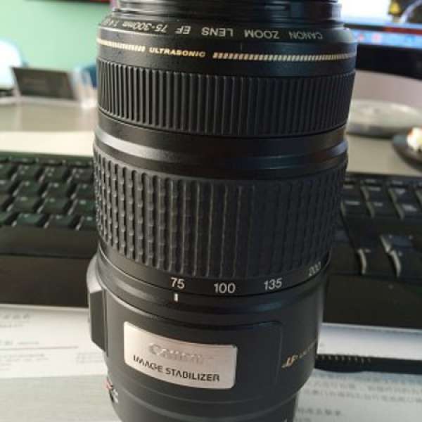 Canon EF 75-300mm IS 1:4-5.6
