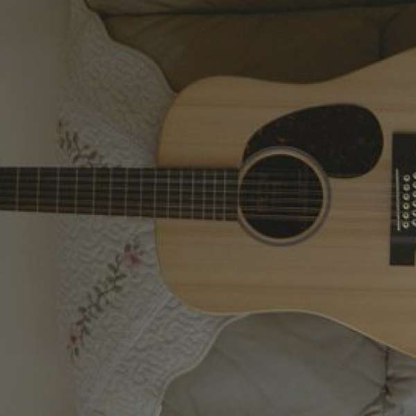 Martin 12string  Acoustic Electric ( 電木結他 )
