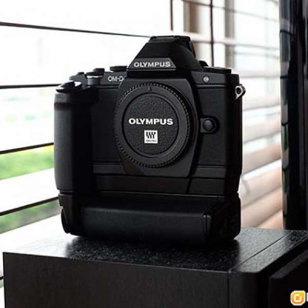 Olympus EM-5 Kit ( Olympus 12-50 ) 連直度 hld-6