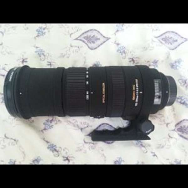 Nikon Sigma 150-500mm F5-6.3 APO DG OS