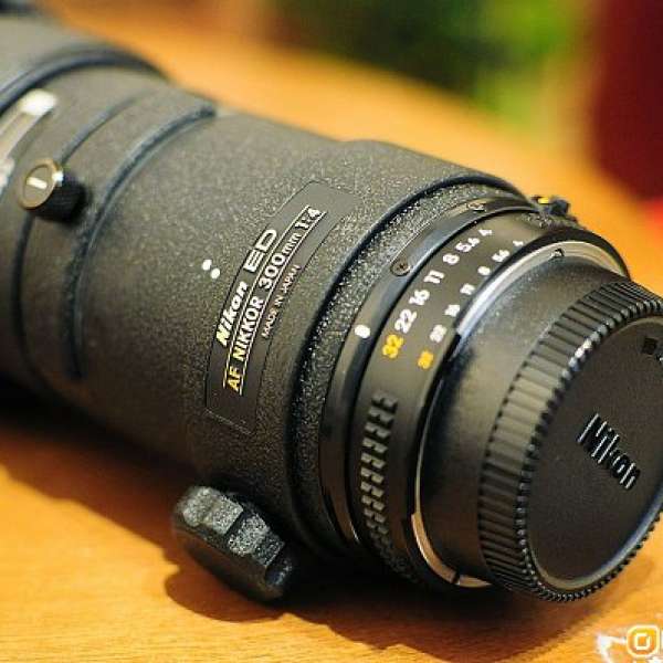Nikon AF 300mm 4/F 恆定光圈 拍鳥經濟之選！