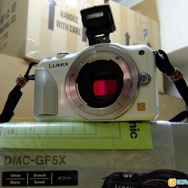 Panasonic Lumix DMC-GF5 (White) Body