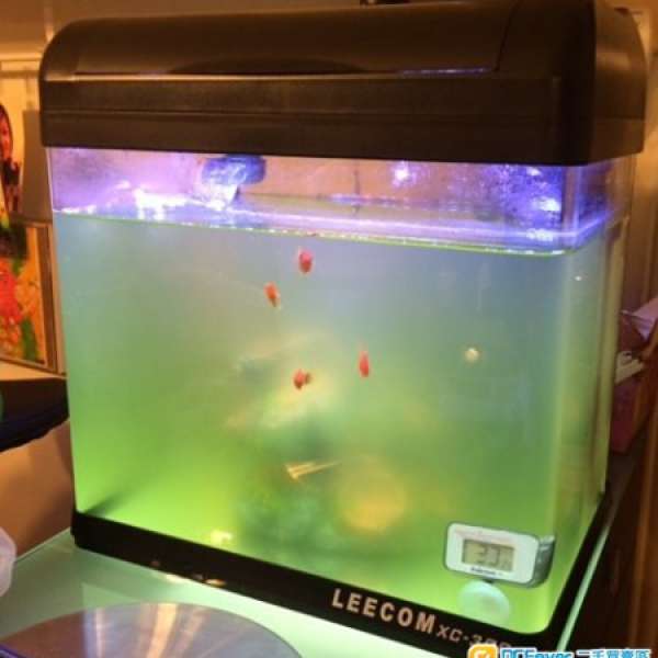 LEECOM XC-300 彎角 套裝魚缸（LED Light) 黑色 220V 齊件 屯門交收