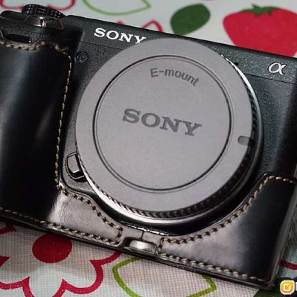 Sony Nex 6 機身