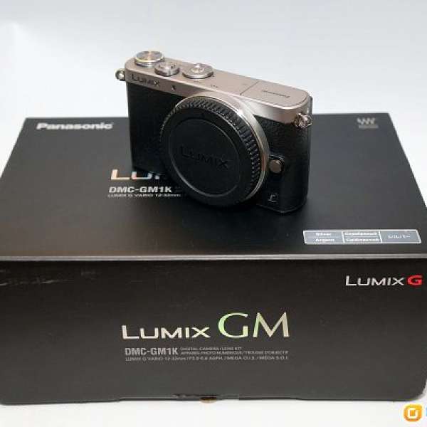 Panasonic LUMIX GM1 (黑色BODY)