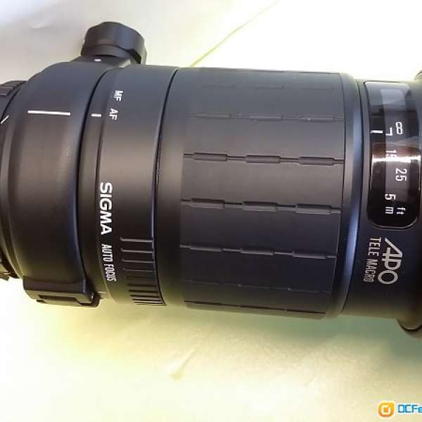 Sigma APO Macro 300mm F4  for Nikon