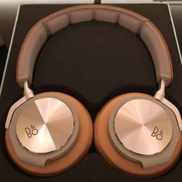Bang & Olufsen  BeoPlay H6 (Not Used)