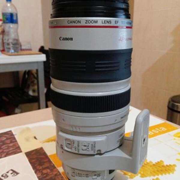 Canon EF 100-400mm f/4.5-5.6L IS USM