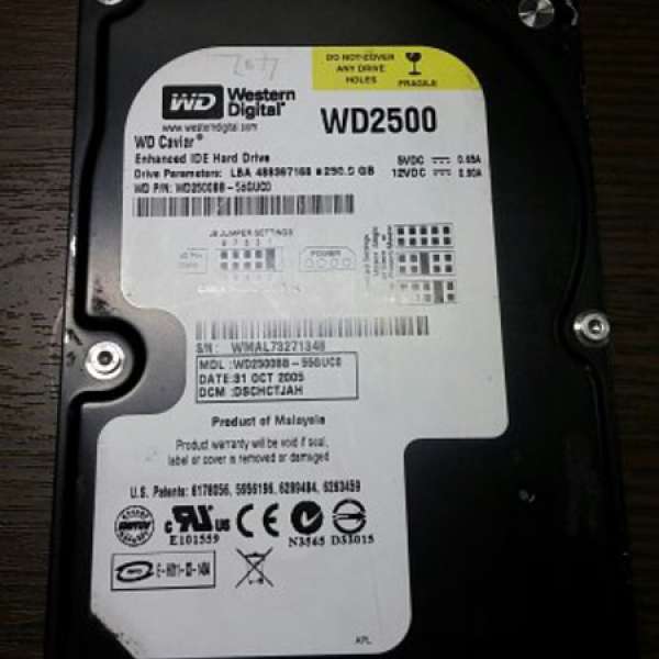 清屋WD 250g IDE HDD一只