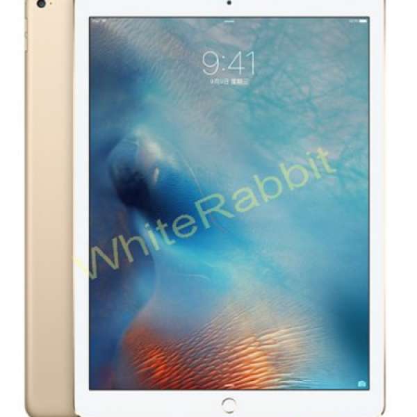 全新未開 香港蘋果行貨 Apple iPad Pro Wi-Fi + Cellular 版 128GB (金色, Gold) , ...