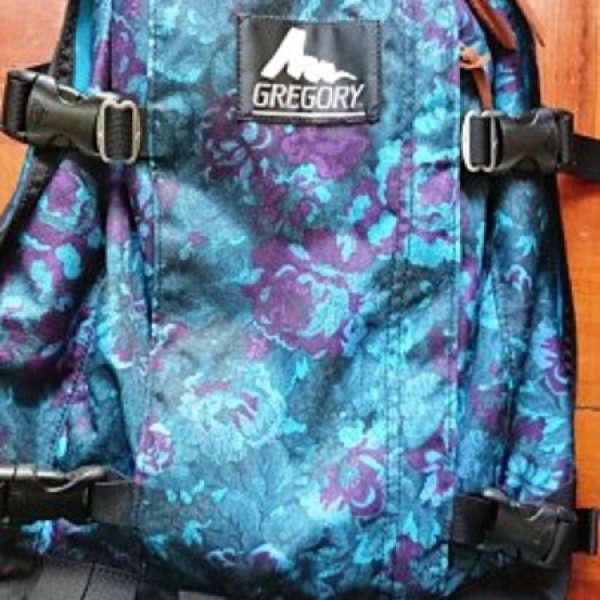 95% new Gregory All Day bag