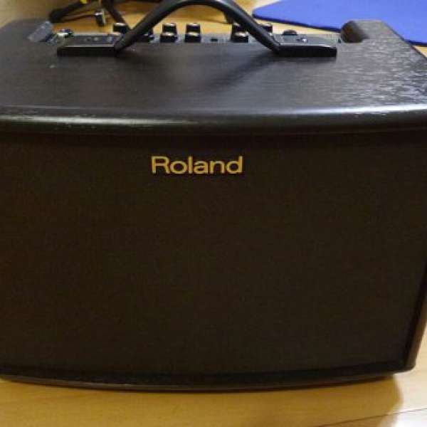 Roland AC-60 Acoustic Chorus  AMPs