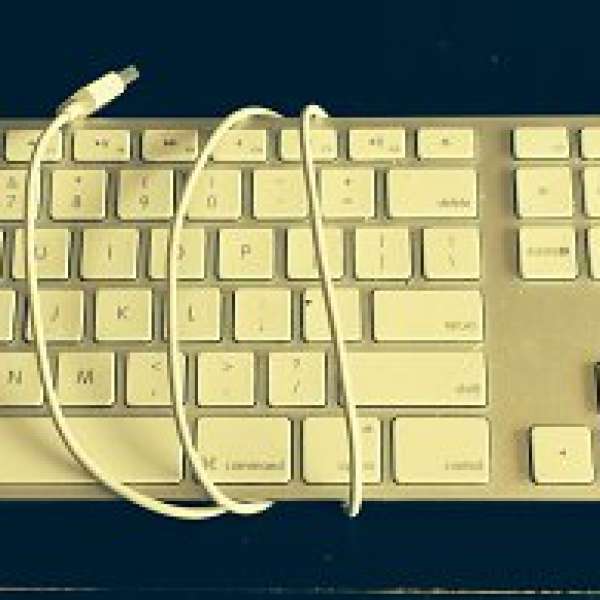 （壞）apple wired keyboard 蘋果鍵盤