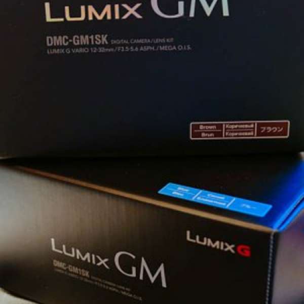 [現貨]PANASONIC GM1s 12-32mm KIT SET 送電池/MON貼 ( GM1 E-PL EPL GF )