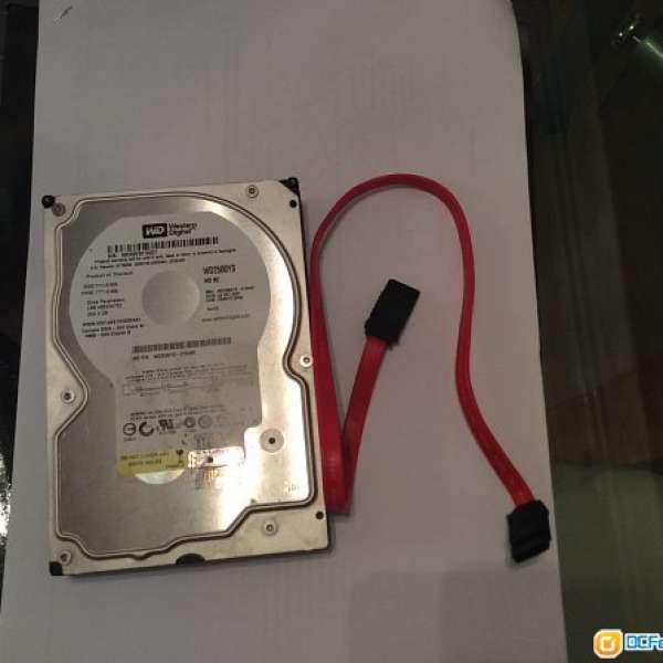 100% work Western Digital 250G HDD Hard Disk (3.5吋）