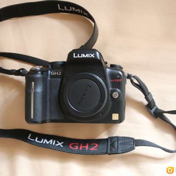 Panasonic Lumix DMC-GH2 / Panasonic Lumix G VARIO 14-45 mm F3.5-5.6