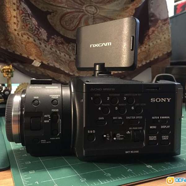 Sony Nex Fs100