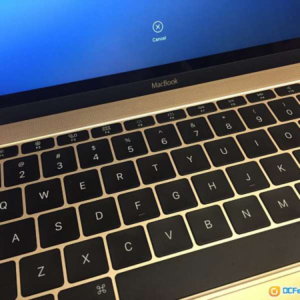 Apple Macbook 2015 金色 512GB SSD Core M 1.3Ghz　已打爆Config