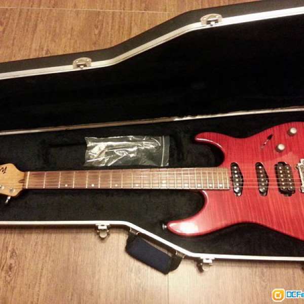 WASHBURN MG-120(USA) ギター Washburn USA MG120 ギター Washburn USA
