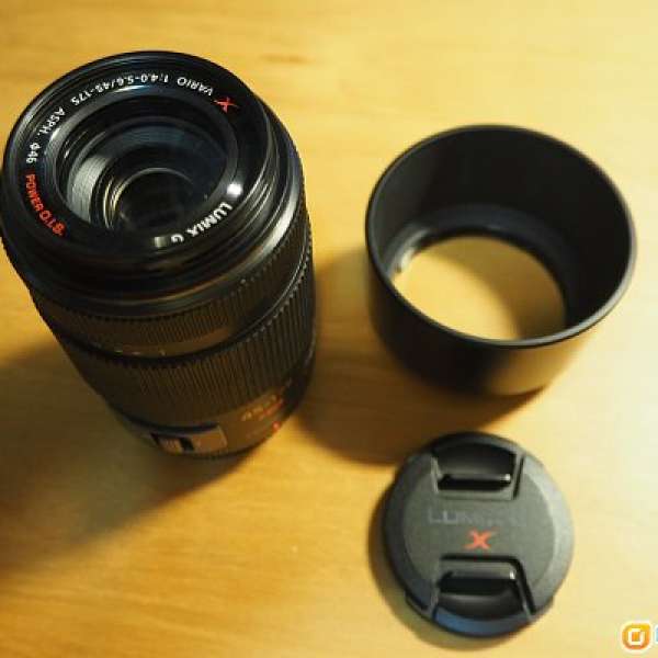 Panasonic LUMIX 45-175mm/F4.0-5.6 ASPH./POWER O.I.S