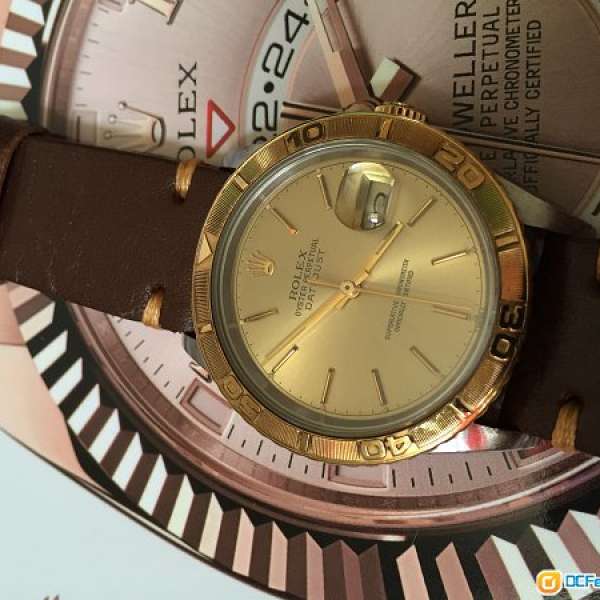 Rolex 16263 金鋼爬山虎