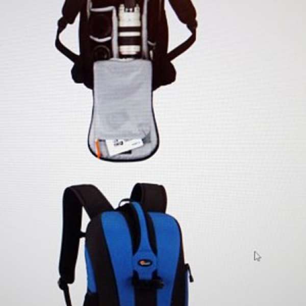 Lowepro Flipside 300 Backpack (Arctic Blue)