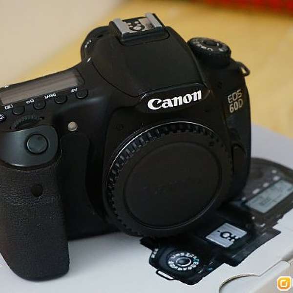 Canon EOS 60D Body + Canon 50mm f1.8