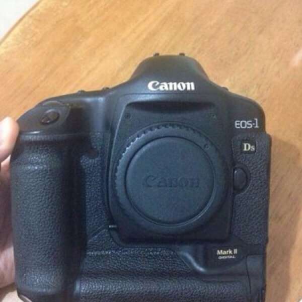 Canon EOS 1Ds Mark II 大兔