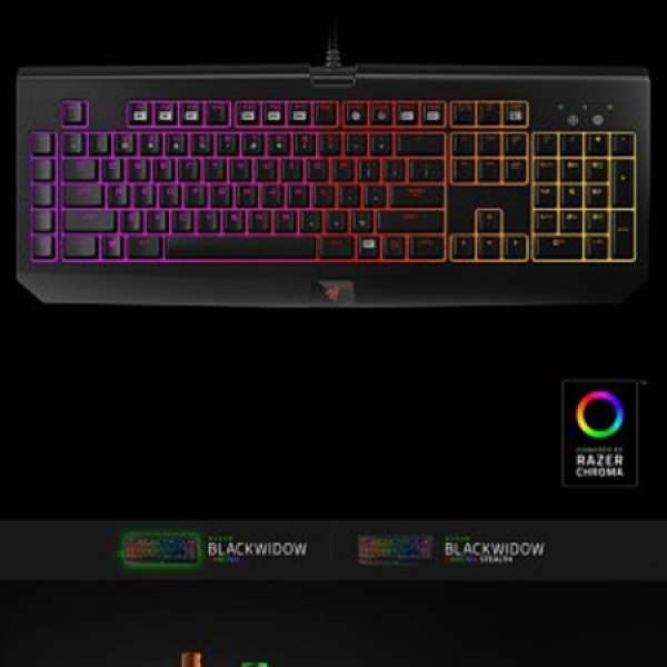 RAZER BLACKWIDOW CHROMA Keyboard -機械鍵盤有單有保養 - $1050