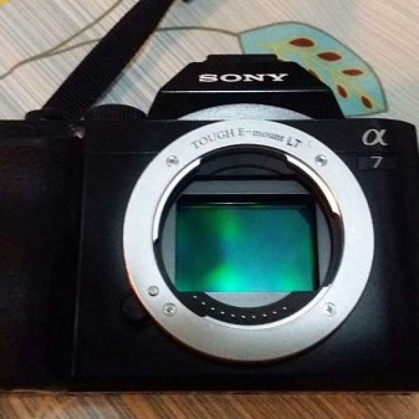 SONY A7 BODY (可補錢換A7II)