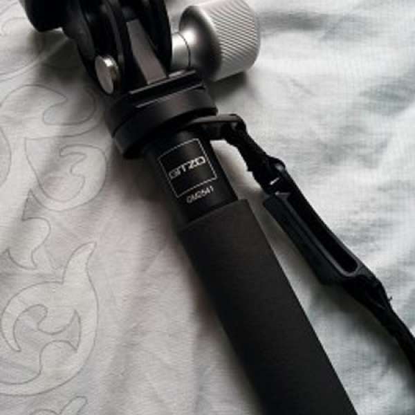 Gitzo GM2541 6X Monopod - Series 2 + Really Right Stuff MH-01 PRO