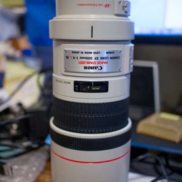 Canon EF 300mm f/4L IS USM 384 f4