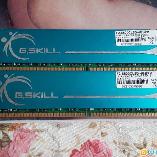 G.SKILL DDR2 1066 2GB*2