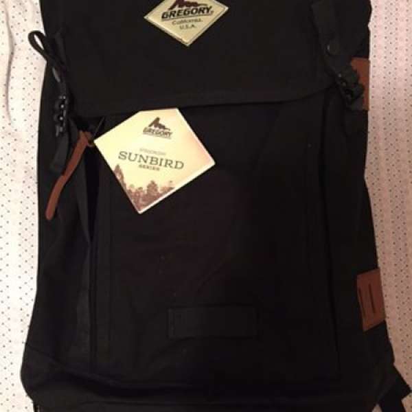 95% new Gregory sunbird series back pack