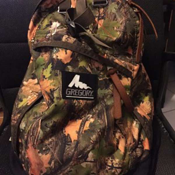 Gregory Day Pack (Cottonwood Camo)