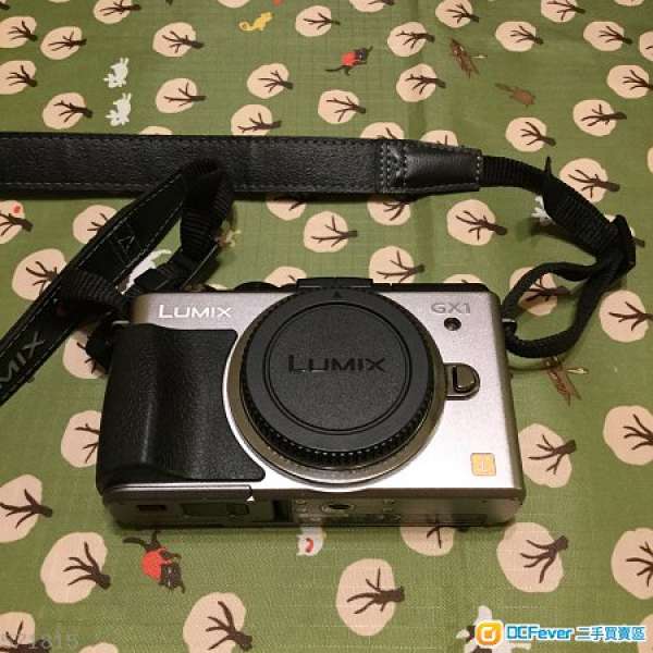 Panasonic GX1 機身