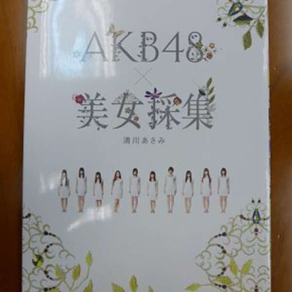 攝影書籍 29 (清書架) - AKB48×美女採集 寫真集