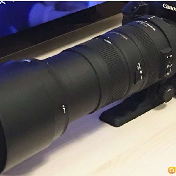 Sigma APO150-500mm f5-6.3 OS HSM 新皮 (for Canon)