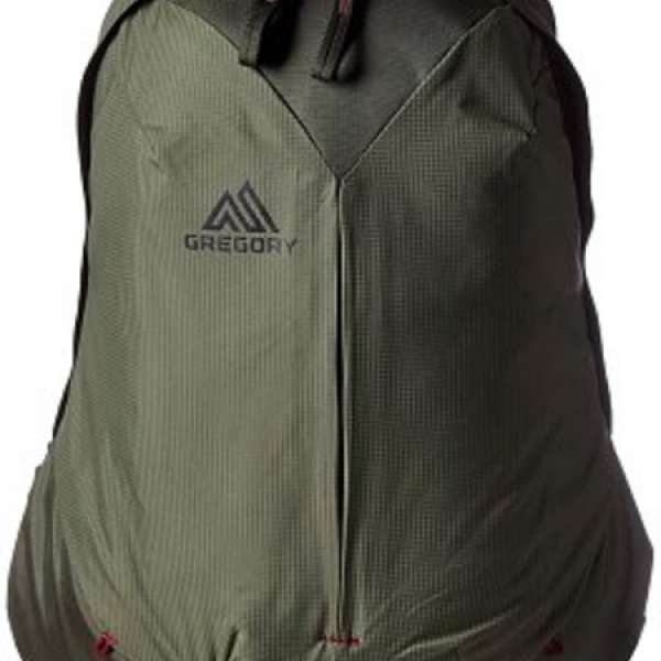 Gregory Sketch 22 Daypack Thyme Green