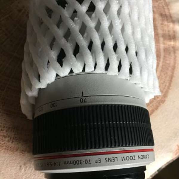 Canon 70-300  4.8-5.6 IS USM